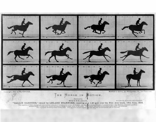 The Horse In Motion