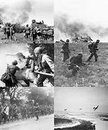 Operación Barbavermella