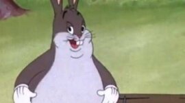 Timeline: Años importantes de mi vida