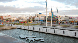 Timeline: MALVINAS: soberanía en disputa