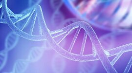 Timeline: CRONOGRAMA SOBRE LOS PRINCIPALES DESCUBRIMIENTOS DEL DNA