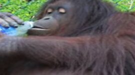 Timeline: Time Capsule 1940s