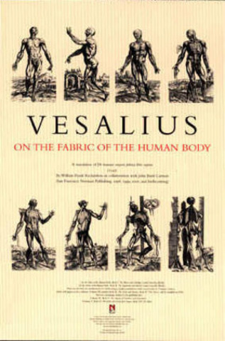Andreas Vesalius Publishes The First Scientific Text on Human Anatomy.