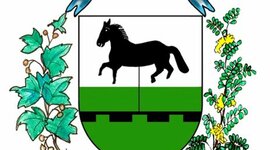 Timeline: Orígenes del barrio de Caballito.