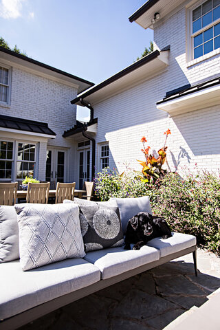 Furry Friends (Posted 4/27)