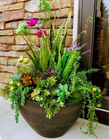 Outdoor Floral Arrangements (Posted 4/30)