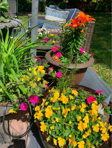 Outdoor Florals (Posted 5/6)