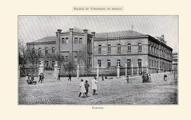 Universidad de Veterinarias