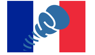 Luttes parlementaire sur la langue