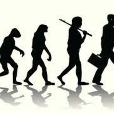 Timeline: Evolución del trabajo.