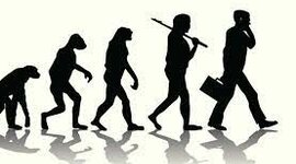 Timeline: Evolución del trabajo.
