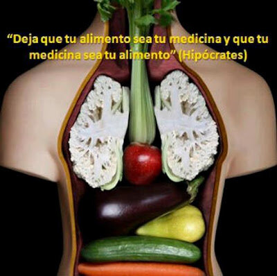 Hipócrates reconoce la importancia de la alimentación