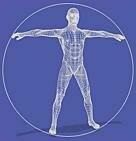 detalles del metabolismo respecto a la alimentación saludable