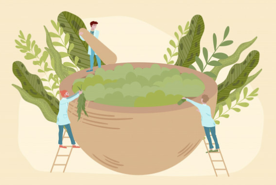 MEDICINAS ALTERNATIVAS (MEDICINA NATURAL - NATUROPATÍA)