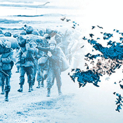 Timeline: Guerra de Malvinas