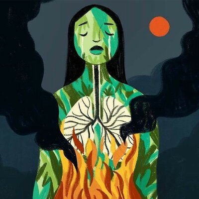 Timeline: Historia de la Educación Ambiental