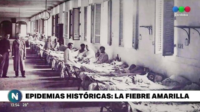 epidemia fiebre amarilla