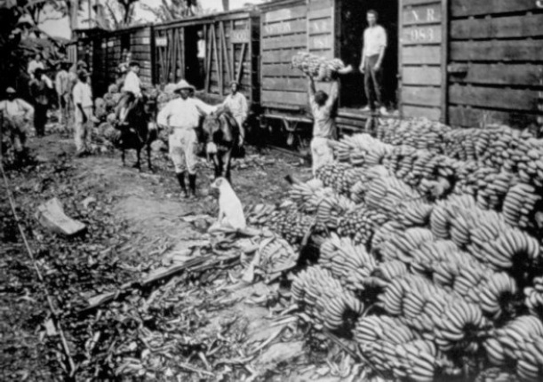 EL BANANO EN EL CARIBE