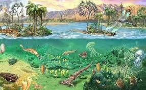 First terrestrial plants (gymnosperms): 21:48