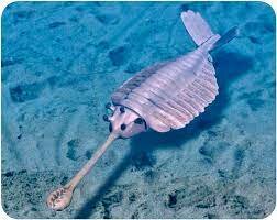 1st most complex life forms: 21:07 pm