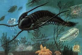 1st most complex life forms: 9:07