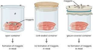 Francesco Redi - Spontaneous generation