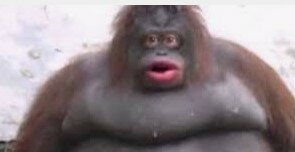 James Stewart (1940s)