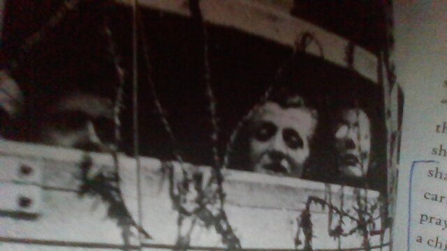 Zeev is sent to Auschwitz