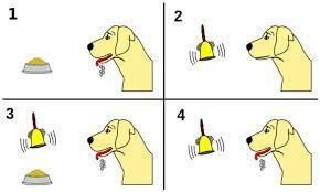 Condicionamiento clásico: los perros de Pavlov