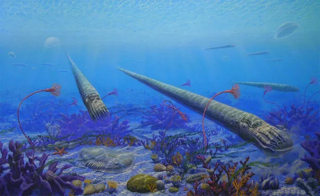 Age of the fish  21:37