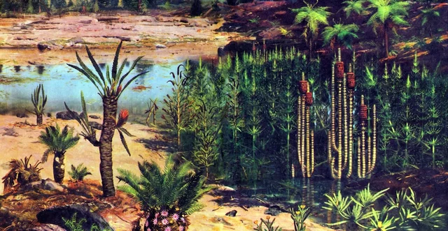 First angiosperms  23:22