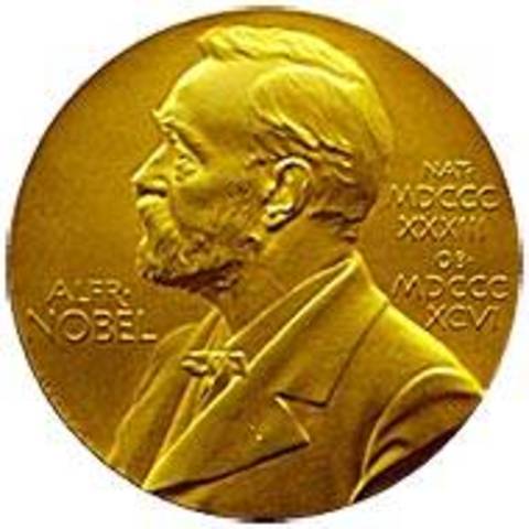 Hon tog imot nobelpriset i litteratur