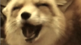 Timeline: Film History