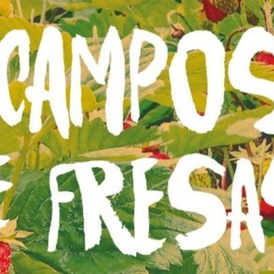 Timeline: campos de fresas HR 8-3