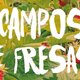 Libro campo de fresas og