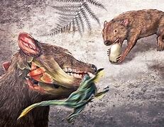 1st dinosaurs and mammals: 22:44