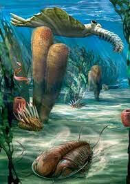 Great explosion of life: 9:10