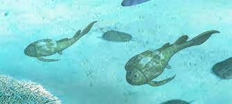 Age of the fish: 21:37