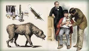 Louis Pasteur - Vacuna contra la rabia.