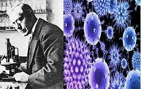 Martinus Beijerinck - Concepto de Virus.