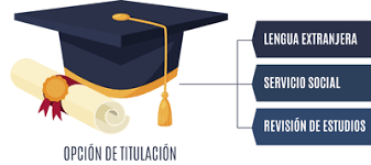 Trabajo Social, a luchar por el título