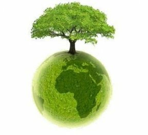 La ONU publica la Carta Mundial de la Naturaleza