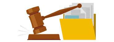 Etapa 2: Recurso de Revocación.