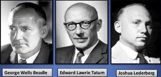 George Beadle,  Edward Tatum y Joshua Lederberg