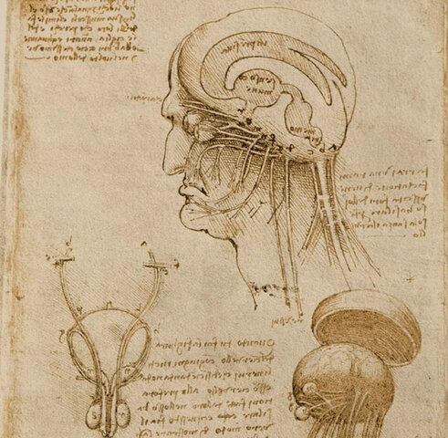 Hito de la Humanidad - Leonardo da Vinci