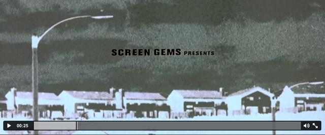 First establishing shot.