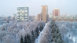 Timeline: времена года Новосибирска