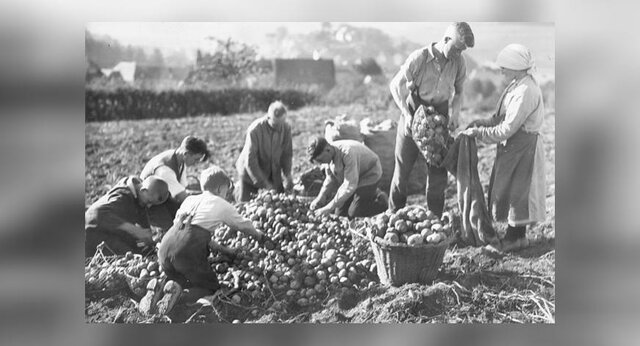Arbejdskraft og forsørgelse