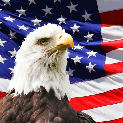 Timeline: Timeline-Capítulo 7 Diego Cardona