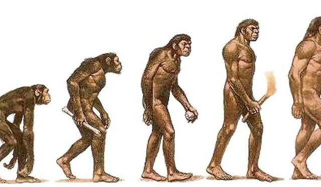 Aparició homo hàbilis(prehistoria)